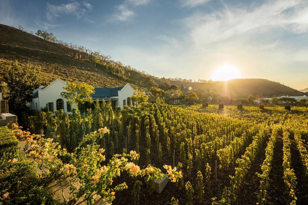 Leeu Estates Hotel Franschhoek Exterior photo