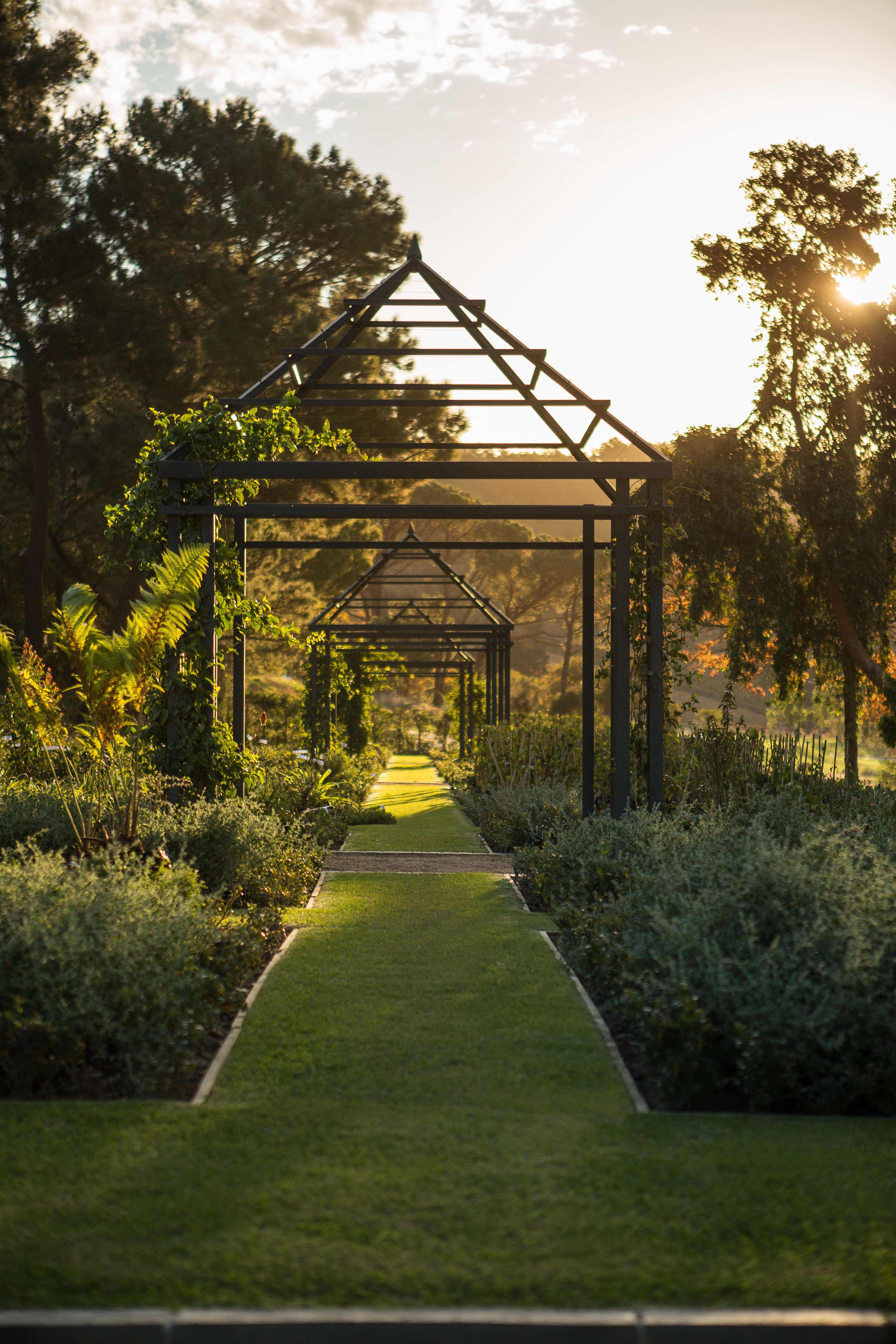 Leeu Estates Hotel Franschhoek Exterior photo